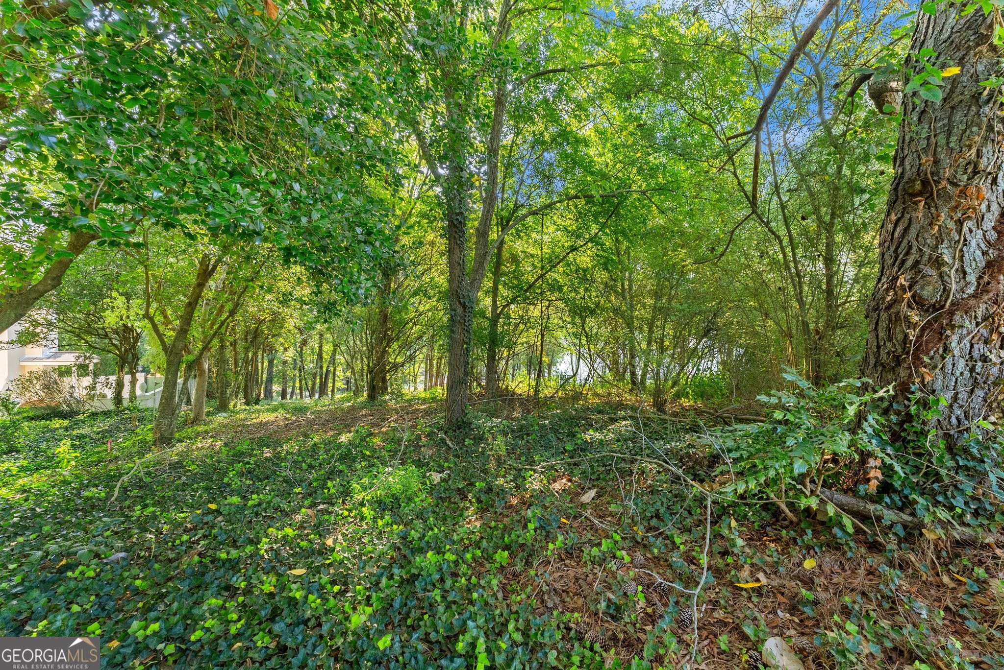 2020 Burgundy Drive Braselton GA 30517