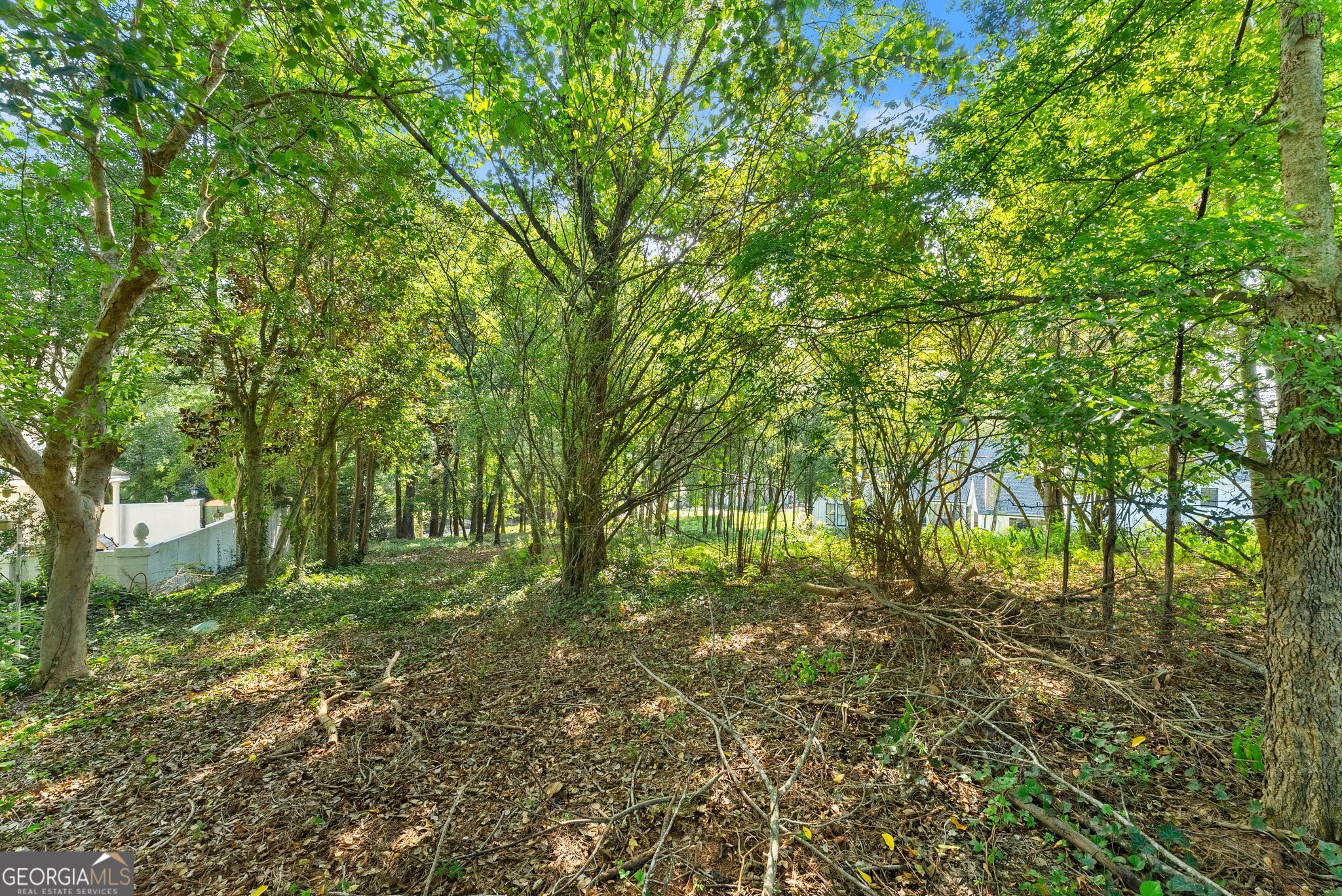 2020 Burgundy Drive Braselton GA 30517