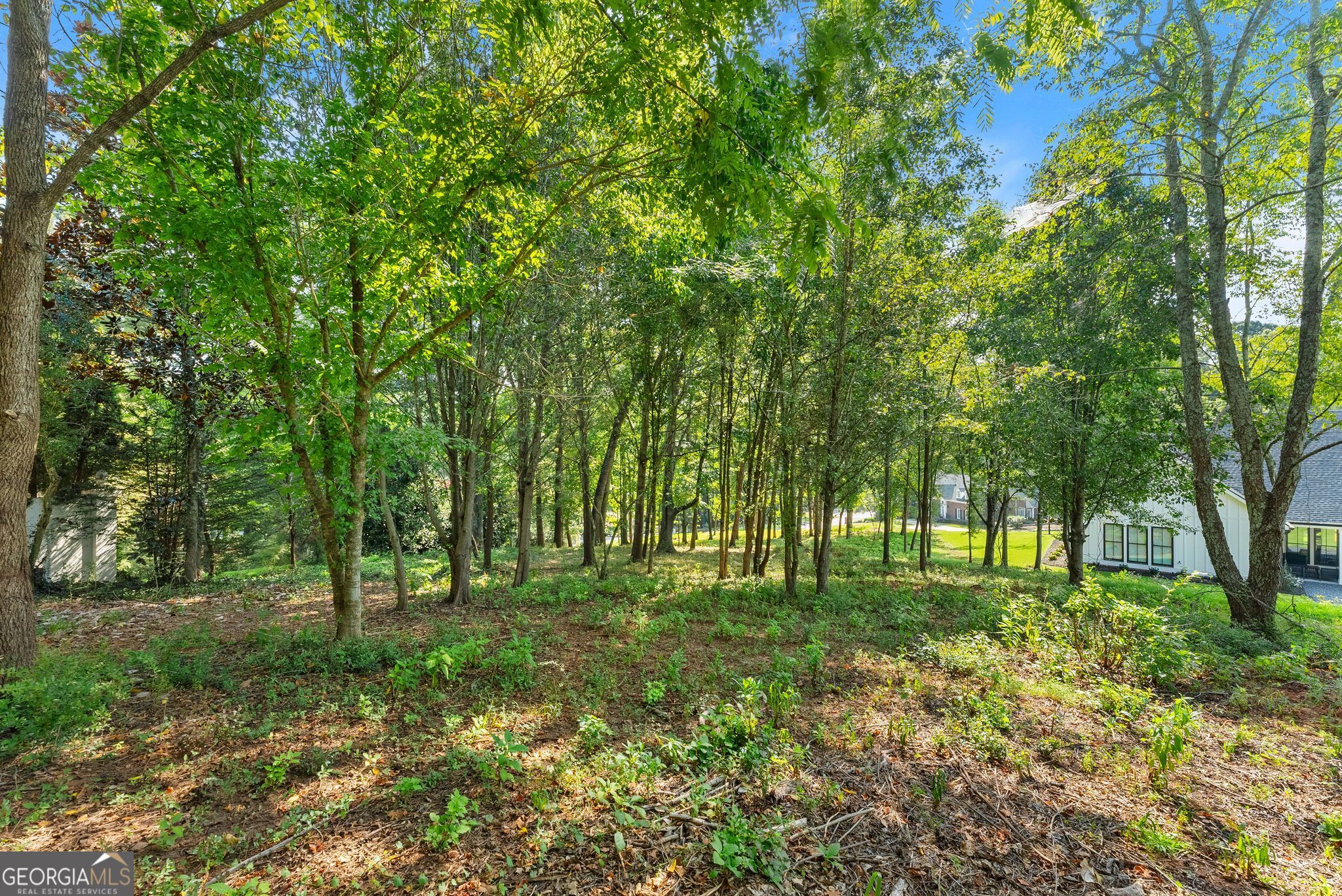 2020 Burgundy Drive Braselton GA 30517