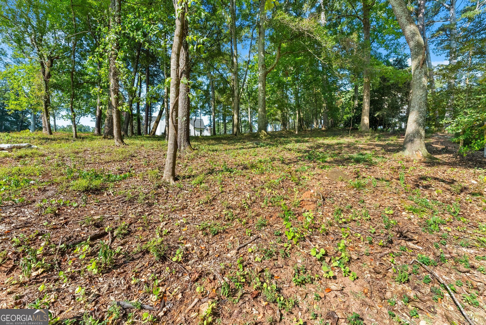 2020 Burgundy Drive Braselton GA 30517