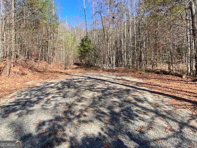 8 Cameron Point Cleveland GA 30528
