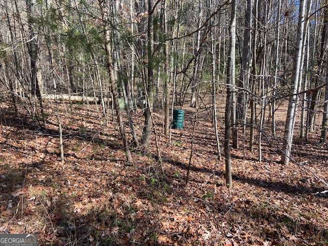 8 Cameron Point Cleveland GA 30528