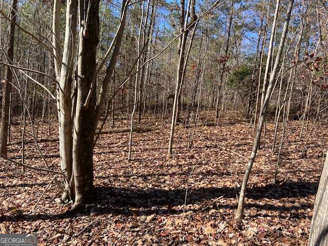 8 Cameron Point Cleveland GA 30528