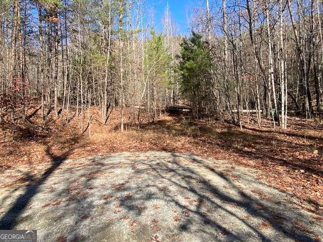 8 Cameron Point Cleveland GA 30528