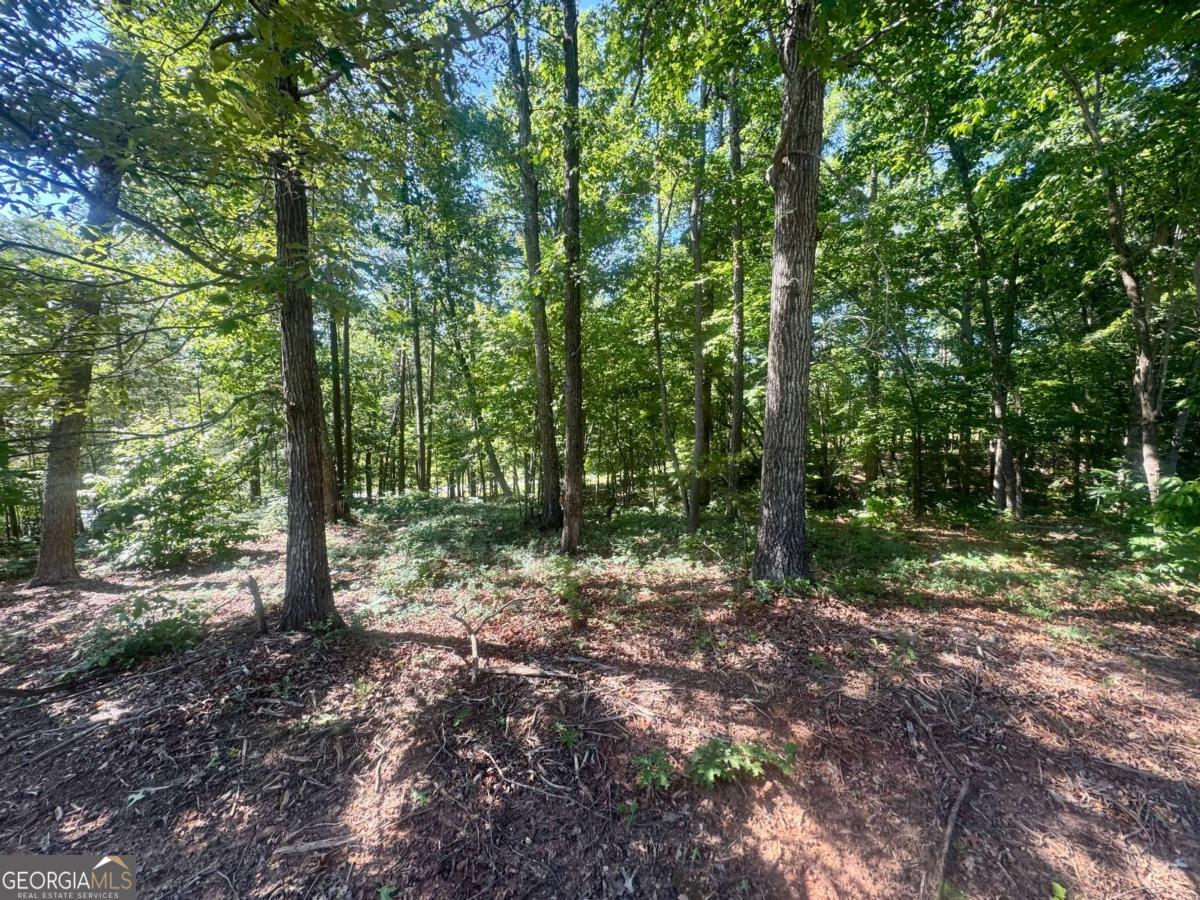 0 Teel Mountain Drive Cleveland GA 30528