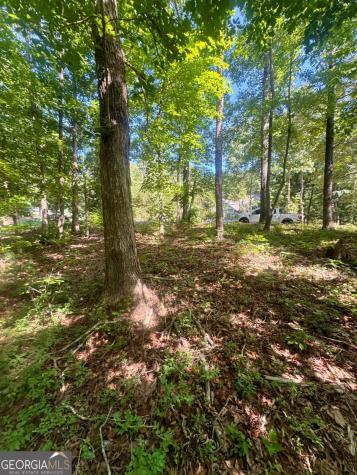 0 Teel Mountain Drive Cleveland GA 30528