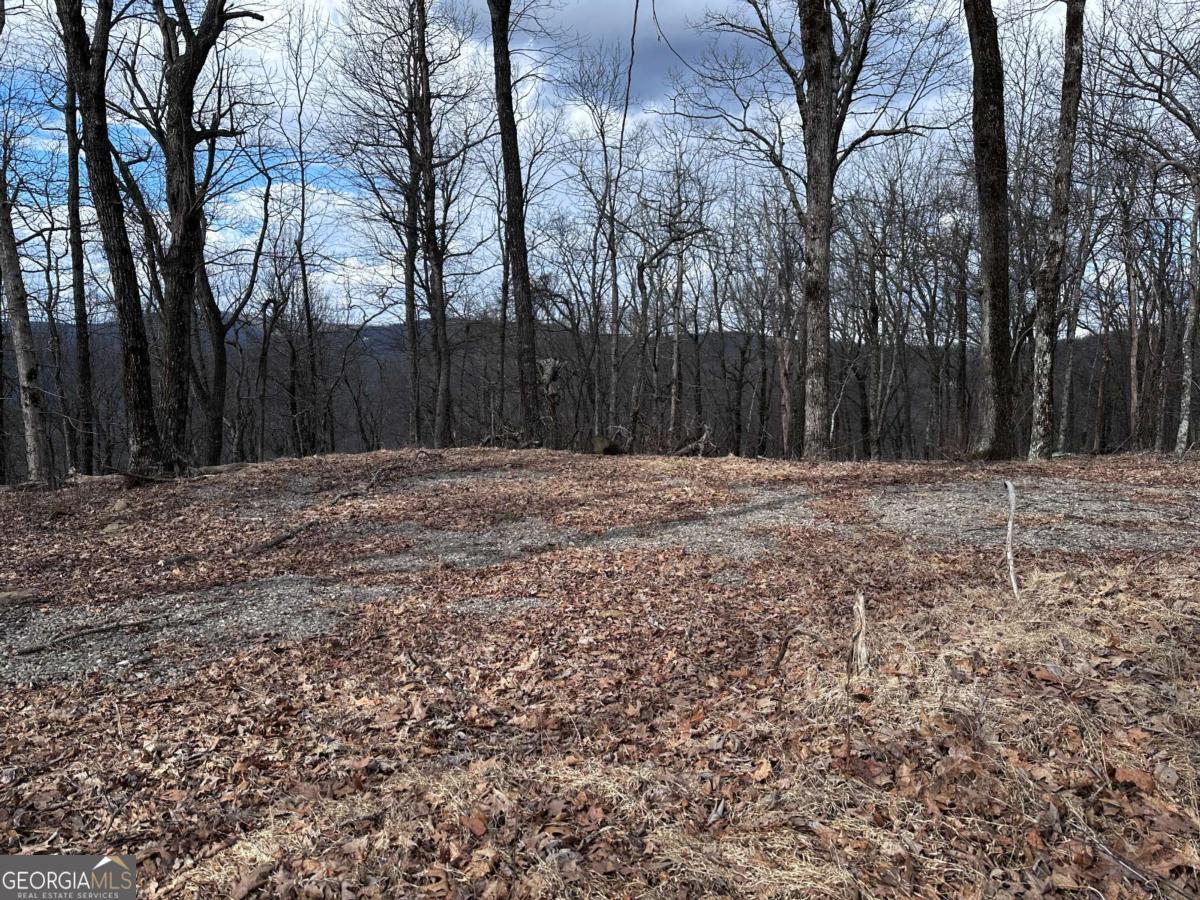 Trct C Old A T Approach Trail Jasper GA 30143
