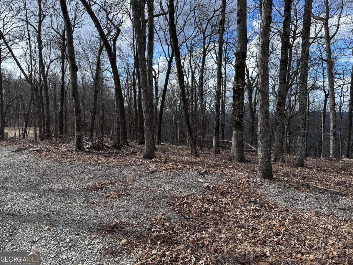 Trct C Old A T Approach Trail Jasper GA 30143