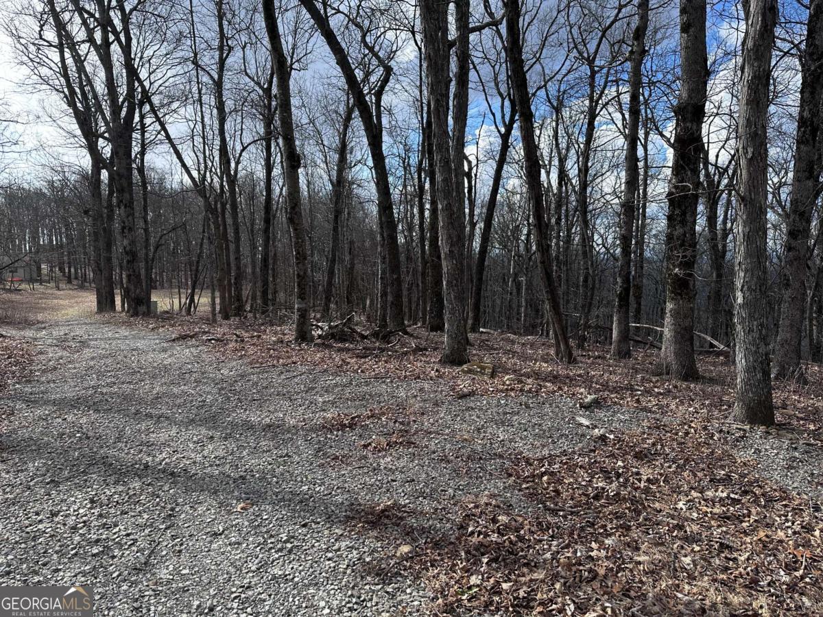 Trct C Old A T Approach Trail Jasper GA 30143