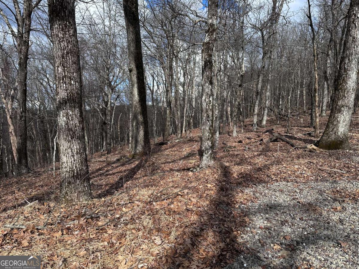 Trct C Old A T Approach Trail Jasper GA 30143