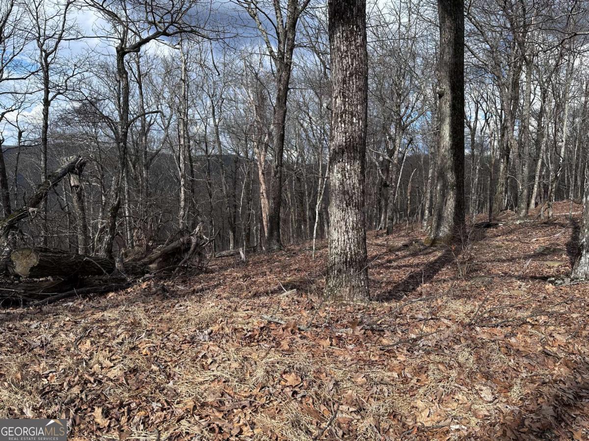 Trct C Old A T Approach Trail Jasper GA 30143