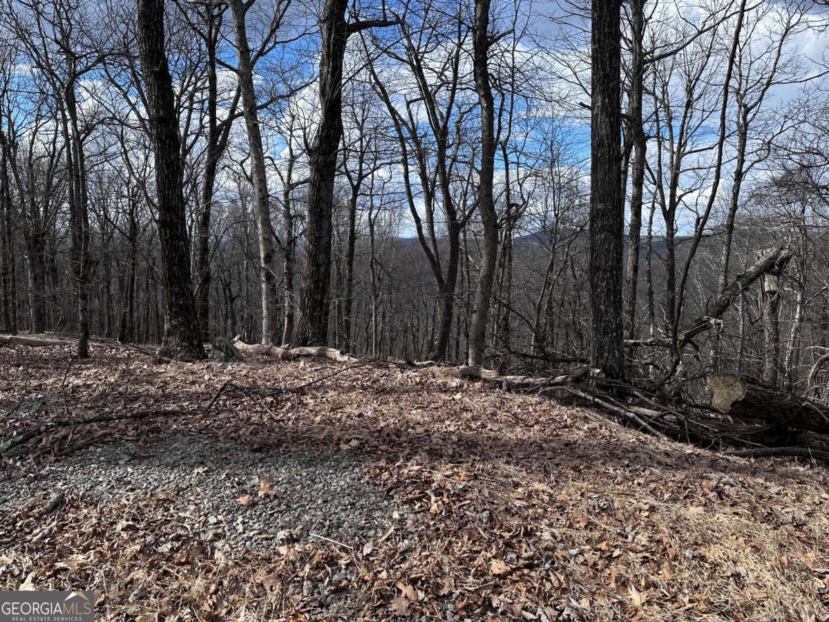 Trct C Old A T Approach Trail Jasper GA 30143