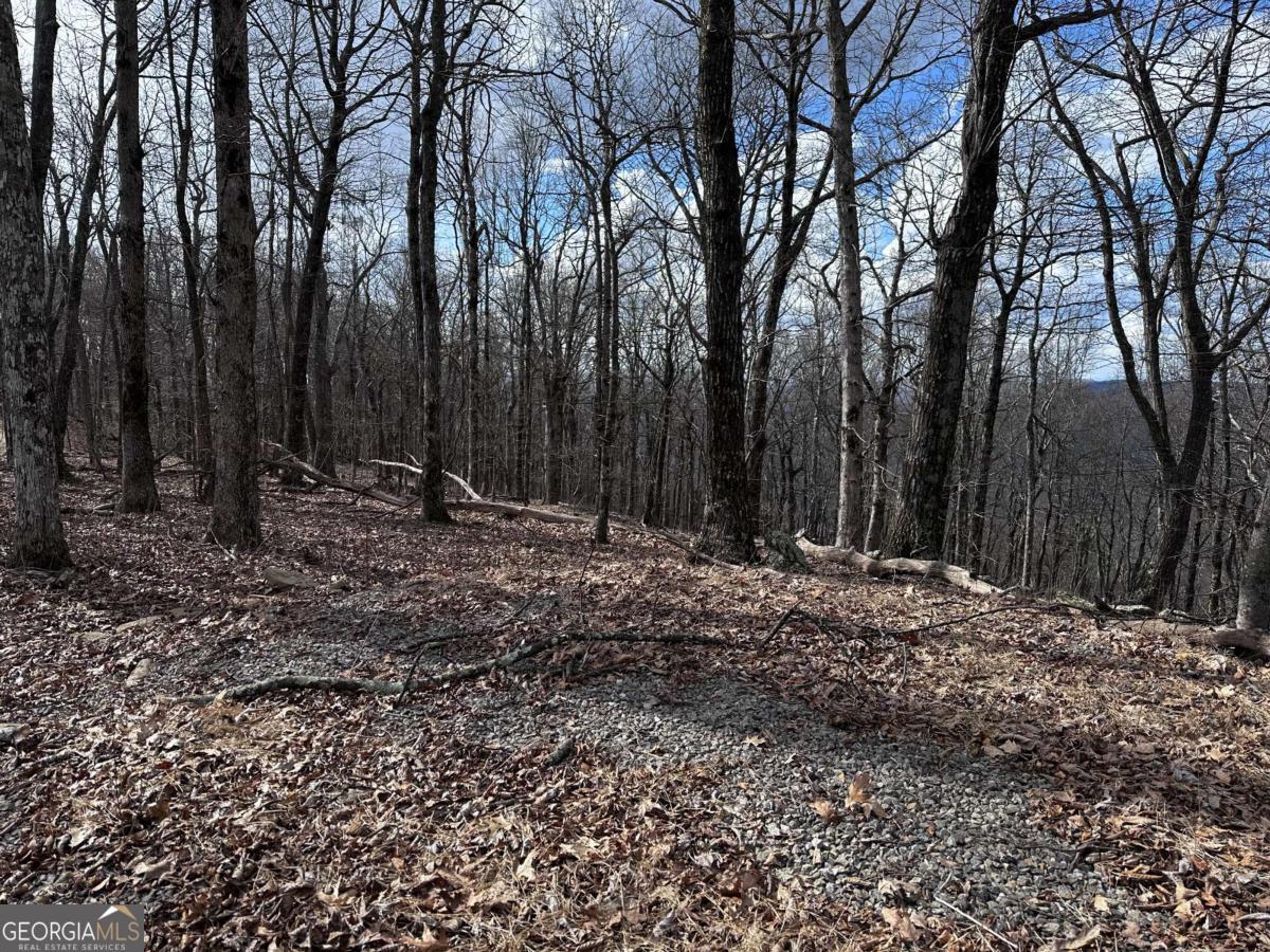 Trct C Old A T Approach Trail Jasper GA 30143
