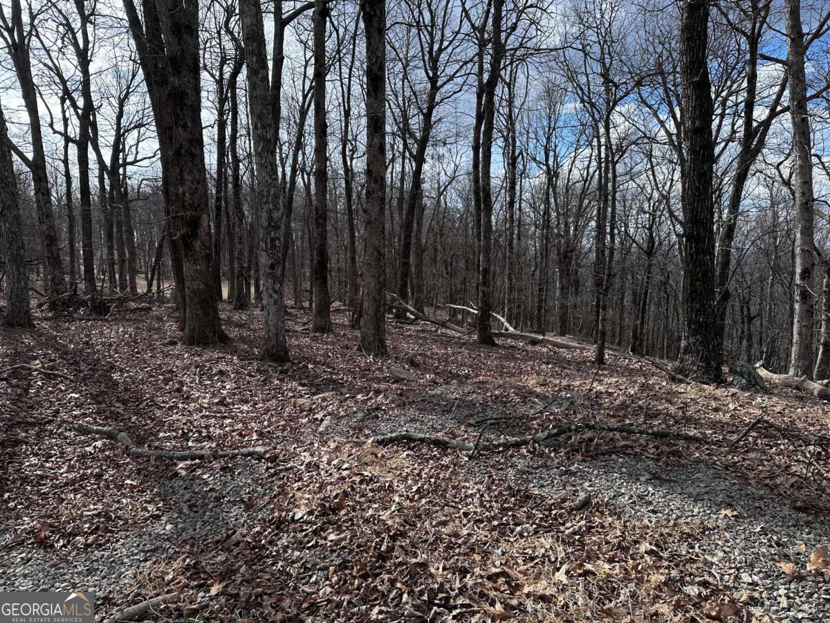 Trct C Old A T Approach Trail Jasper GA 30143