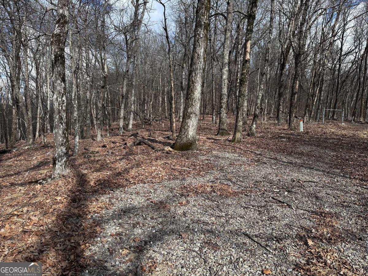 Trct C Old A T Approach Trail Jasper GA 30143