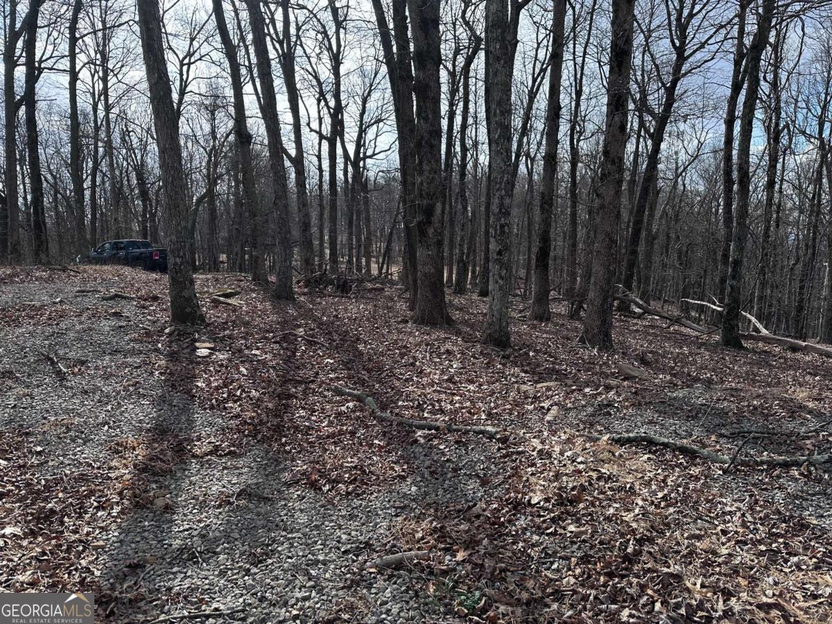 Trct C Old A T Approach Trail Jasper GA 30143