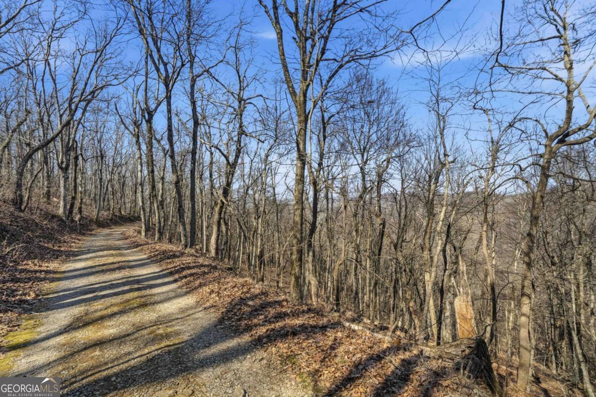 Trct C Old A T Approach Trail Jasper GA 30143