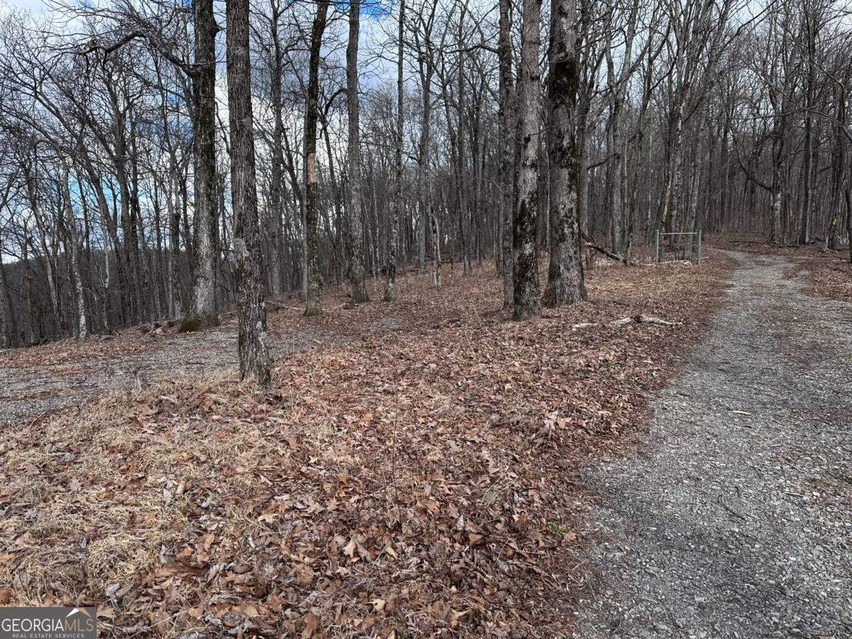 Trct C Old A T Approach Trail Jasper GA 30143