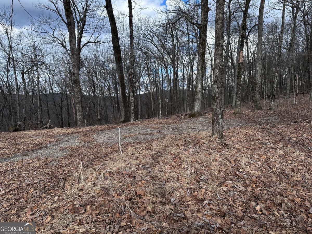 Trct C Old A T Approach Trail Jasper GA 30143