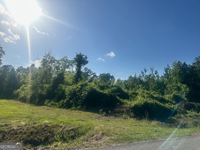 0 Warnell Avenue Pembroke GA 31321