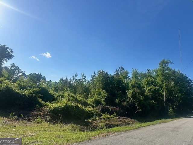 0 Warnell Avenue Pembroke GA 31321