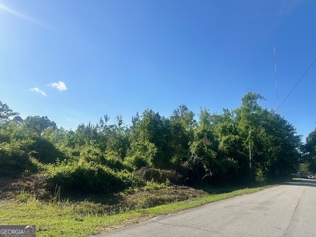 0 Warnell Avenue Pembroke GA 31321