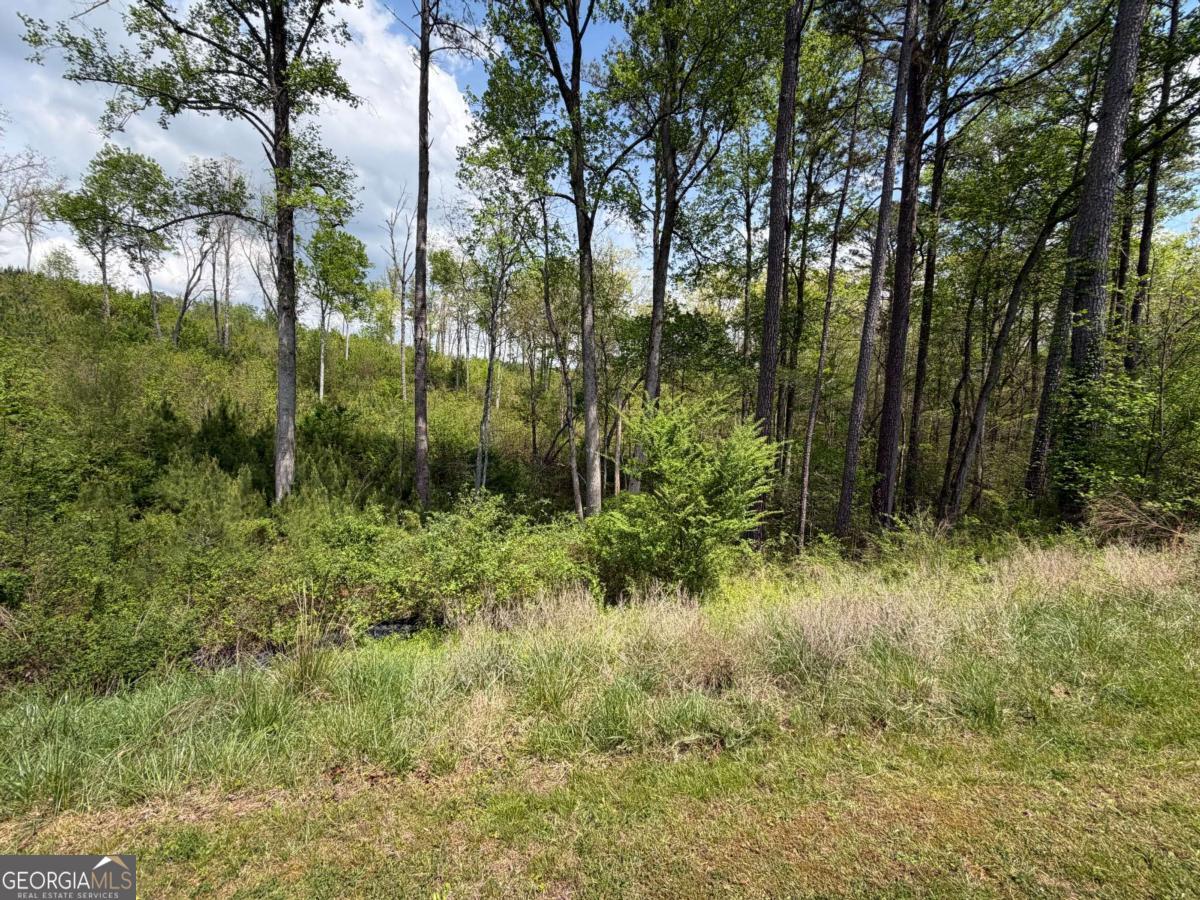 238 Lecroy Drive Ellijay GA 30540
