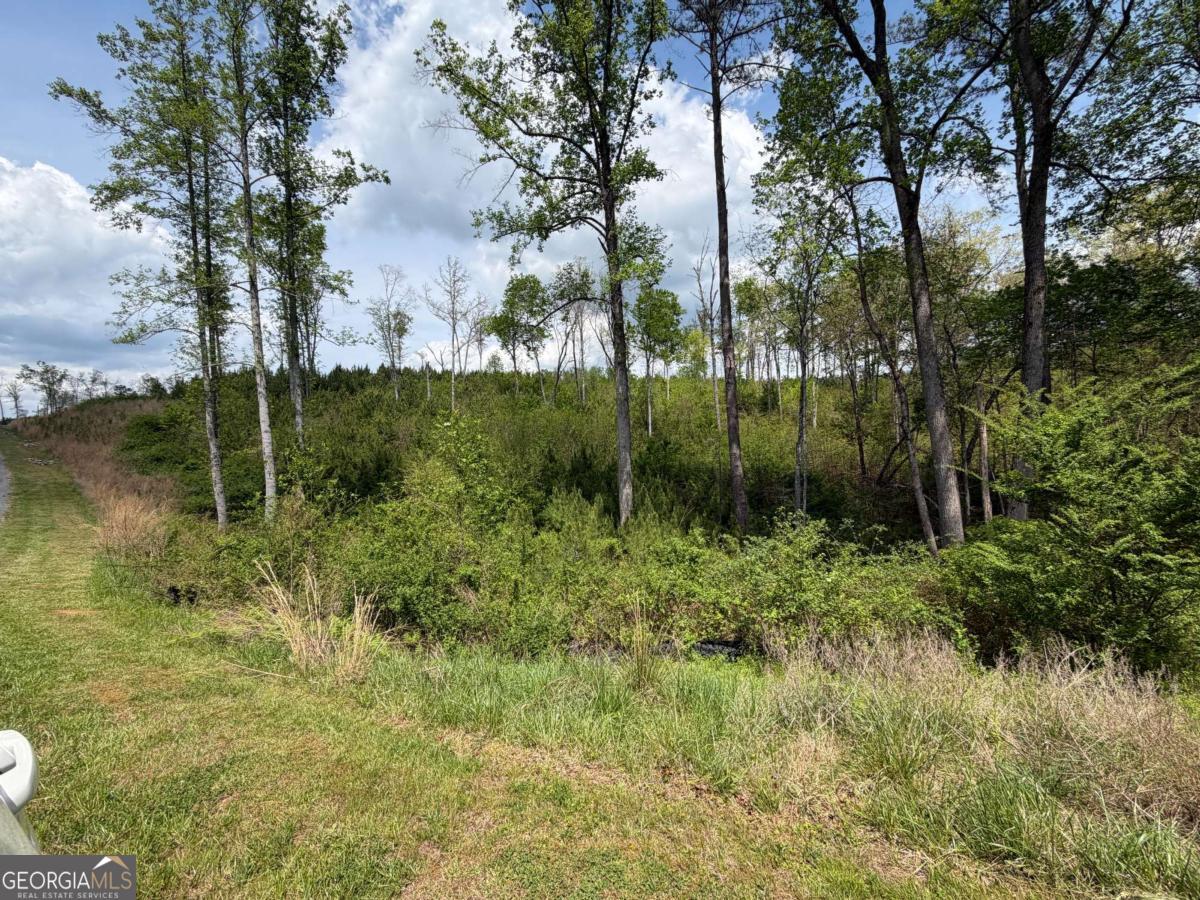 238 Lecroy Drive Ellijay GA 30540
