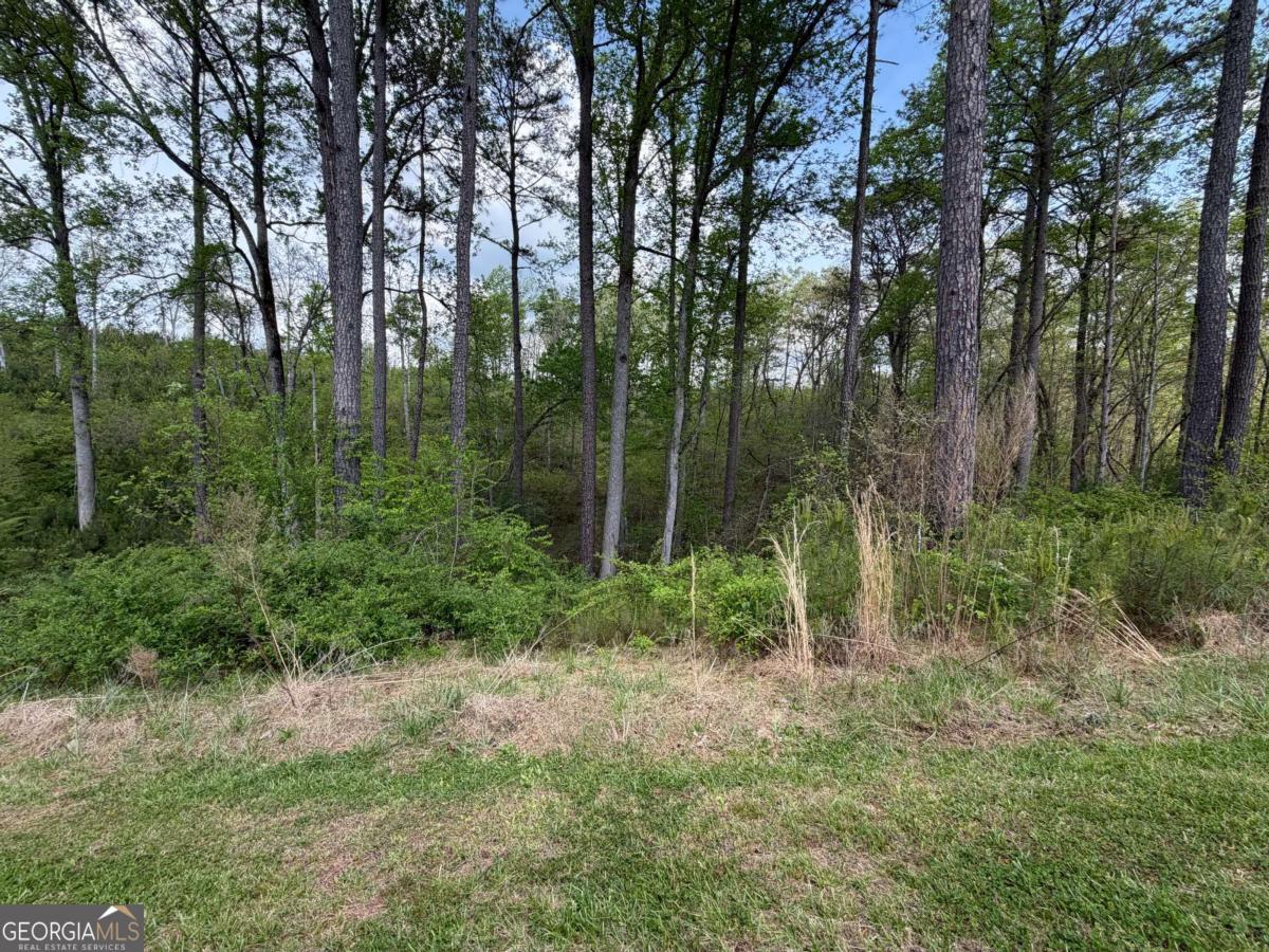 238 Lecroy Drive Ellijay GA 30540