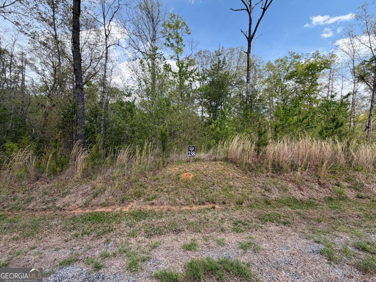 238 Lecroy Drive Ellijay GA 30540