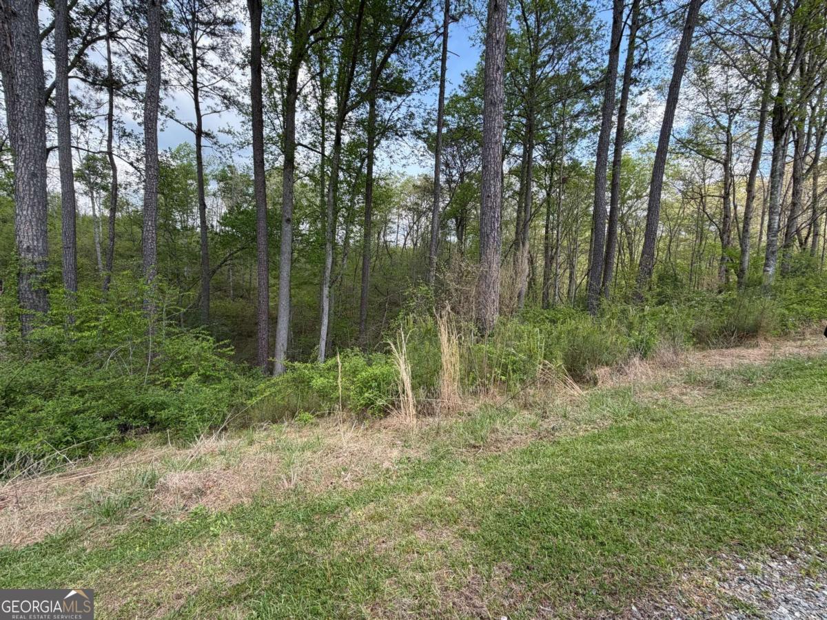 238 Lecroy Drive Ellijay GA 30540