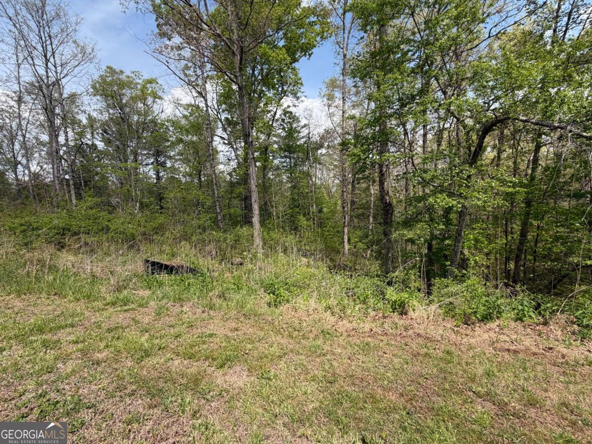 238 Lecroy Drive Ellijay GA 30540