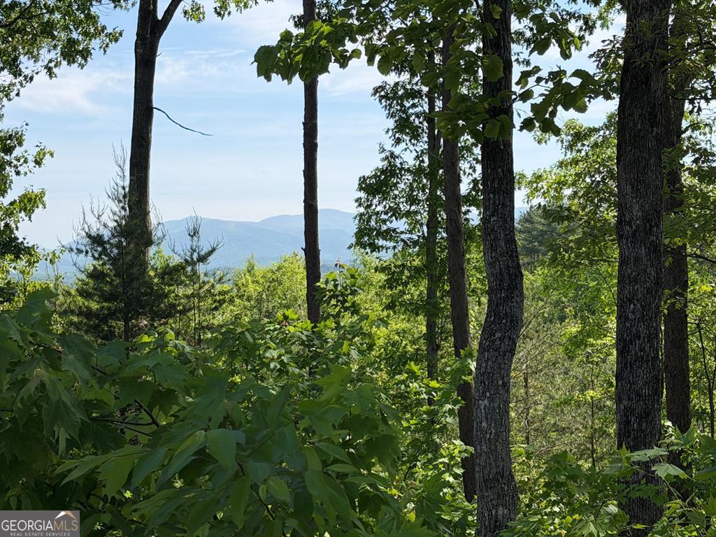 Lot 31 Summit View Lane Ellijay GA 30540