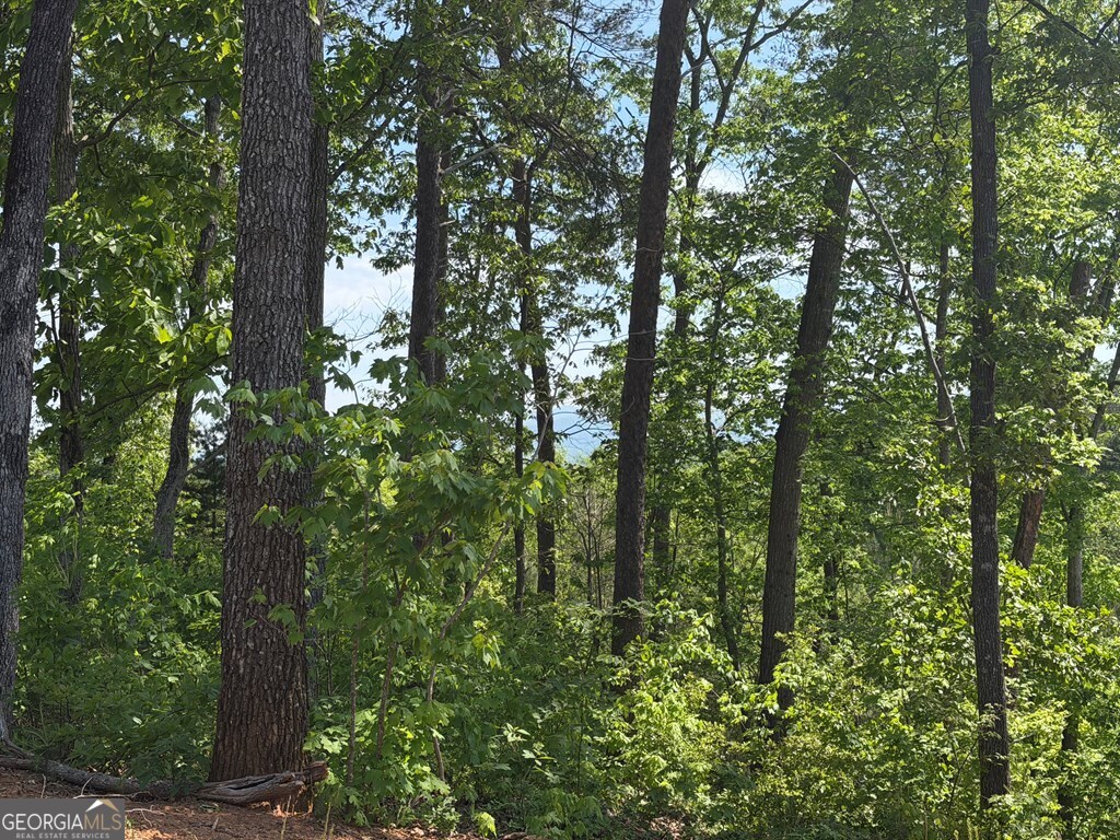 Lot 31 Summit View Lane Ellijay GA 30540