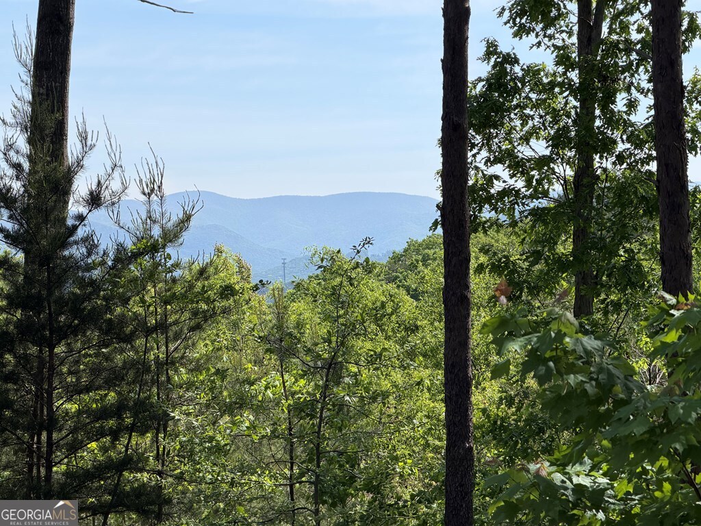 Lot 31 Summit View Lane Ellijay GA 30540