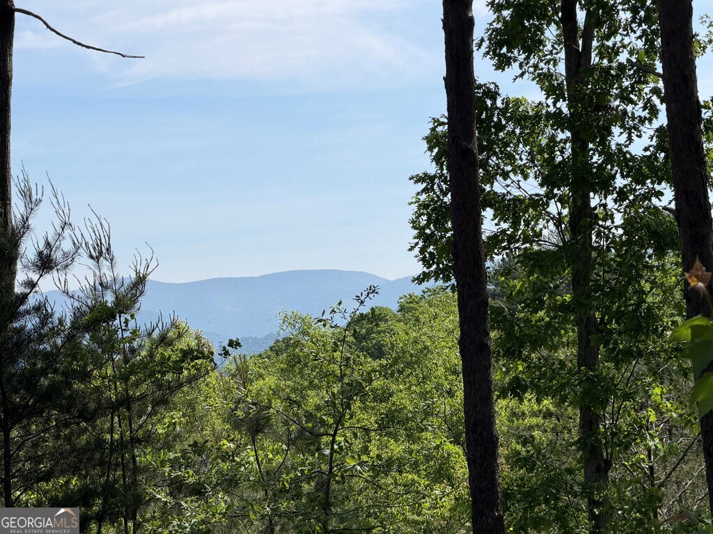 Lot 31 Summit View Lane Ellijay GA 30540