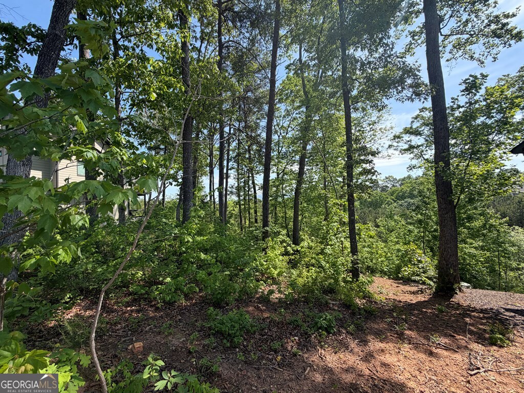 Lot 31 Summit View Lane Ellijay GA 30540
