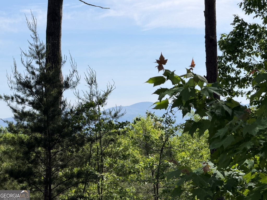 Lot 31 Summit View Lane Ellijay GA 30540