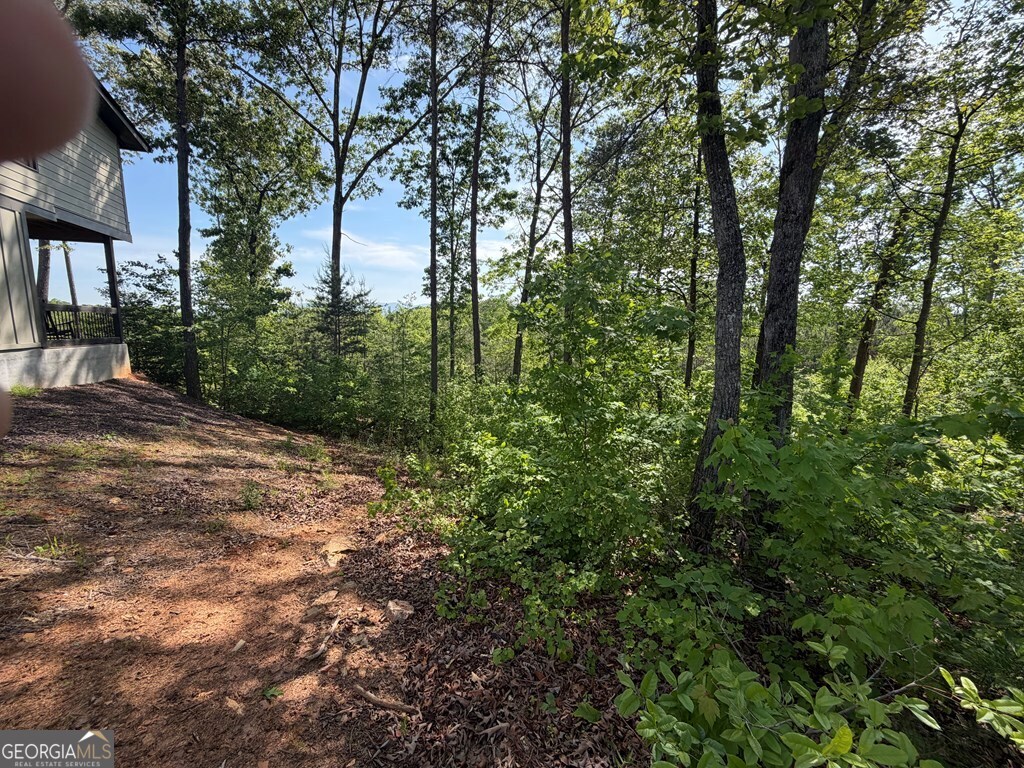Lot 31 Summit View Lane Ellijay GA 30540