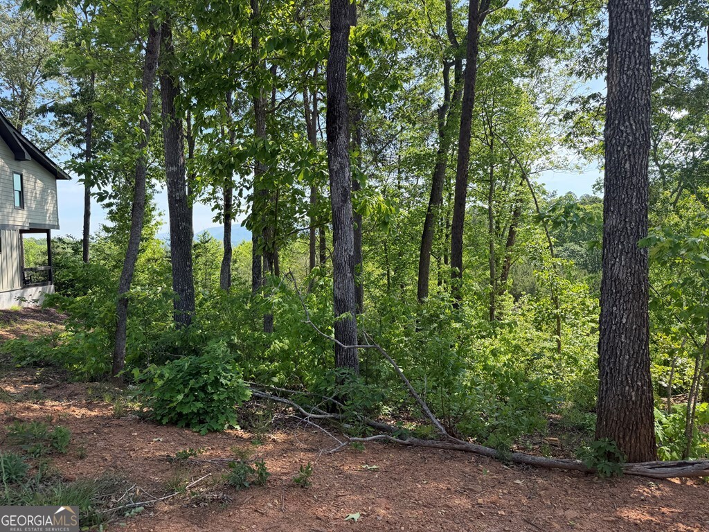 Lot 31 Summit View Lane Ellijay GA 30540