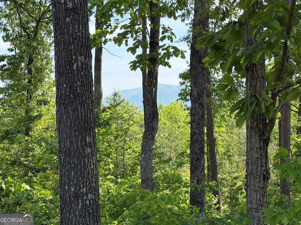 Lot 31 Summit View Lane Ellijay GA 30540
