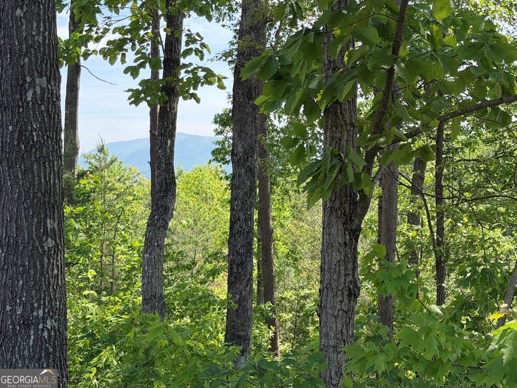 Lot 31 Summit View Lane Ellijay GA 30540