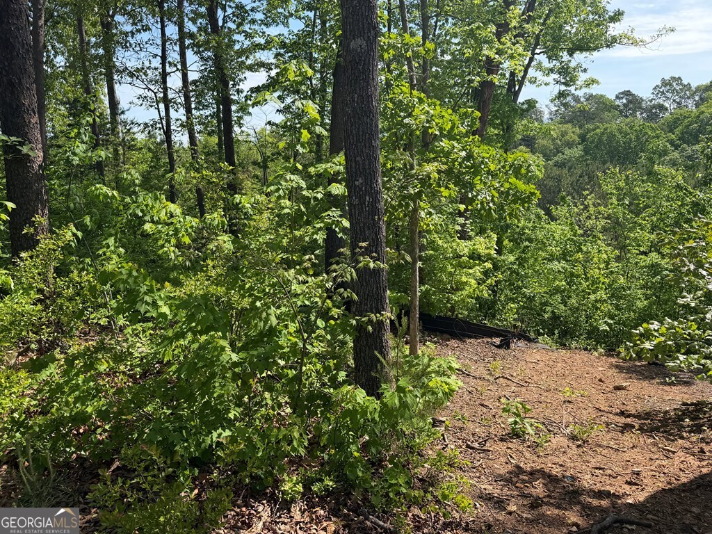 Lot 31 Summit View Lane Ellijay GA 30540