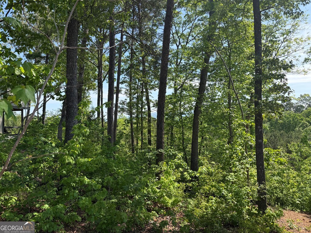 Lot 31 Summit View Lane Ellijay GA 30540