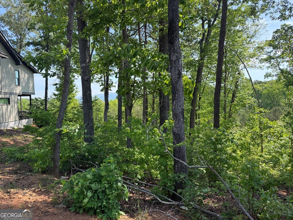 Lot 31 Summit View Lane Ellijay GA 30540