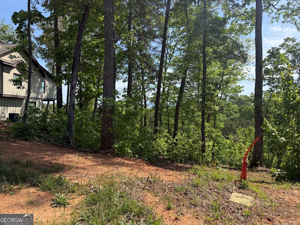 Lot 31 Summit View Lane Ellijay GA 30540