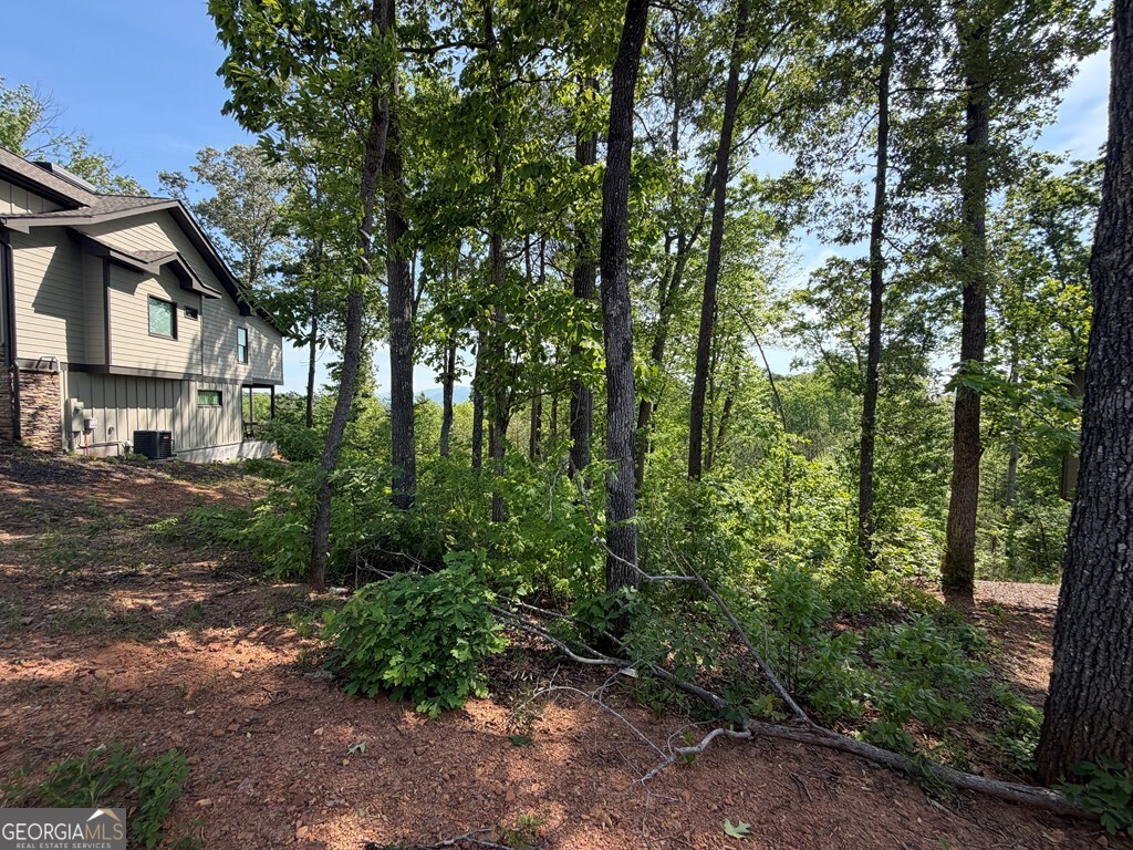 Lot 31 Summit View Lane Ellijay GA 30540