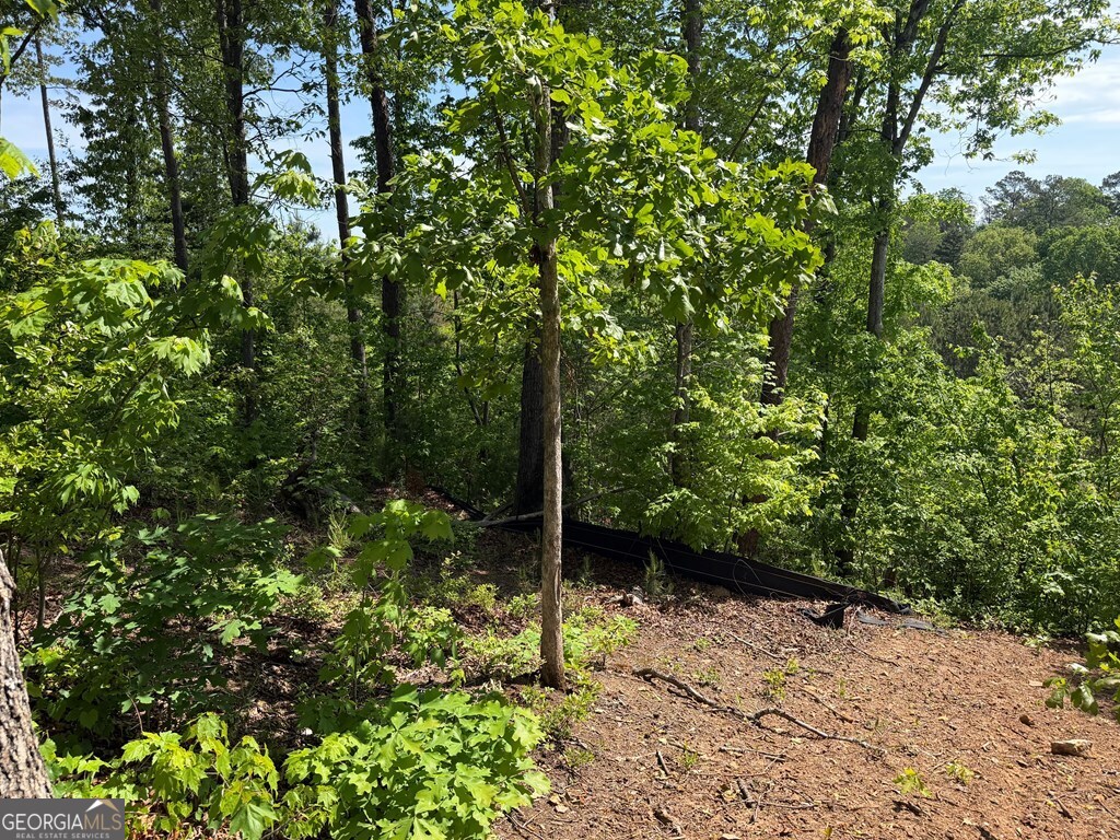 Lot 31 Summit View Lane Ellijay GA 30540