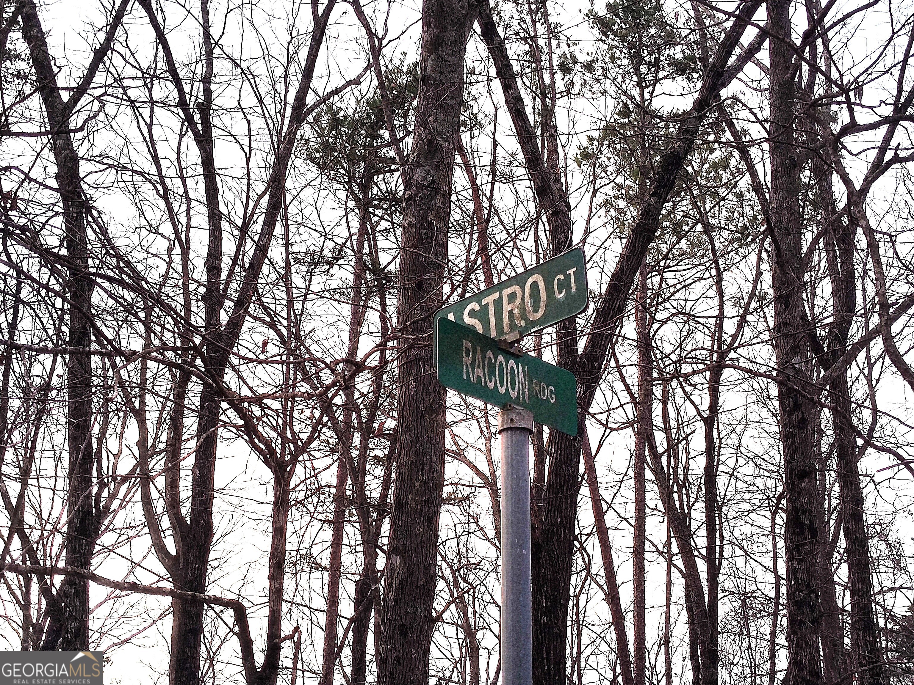 1036 Astro Court NE Ranger GA 30734