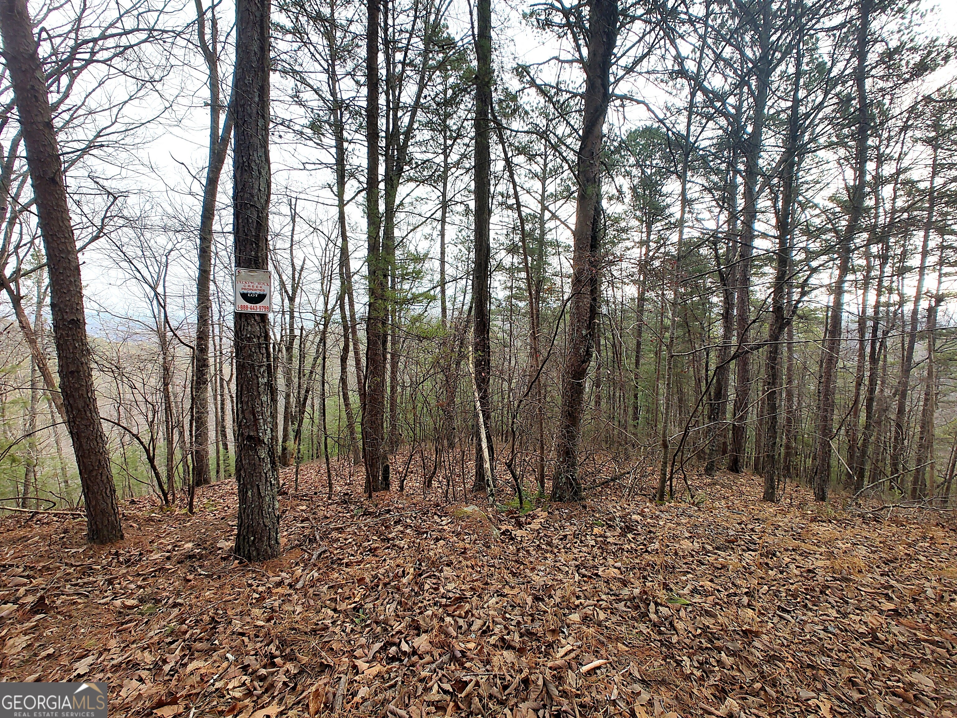 1036 Astro Court NE Ranger GA 30734